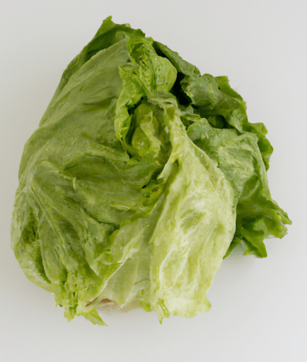 Lettuce Image